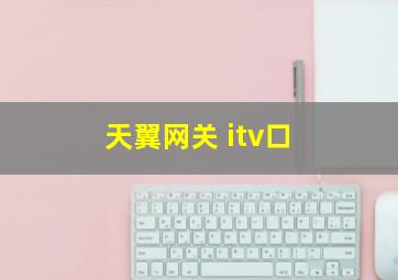 天翼网关 itv口